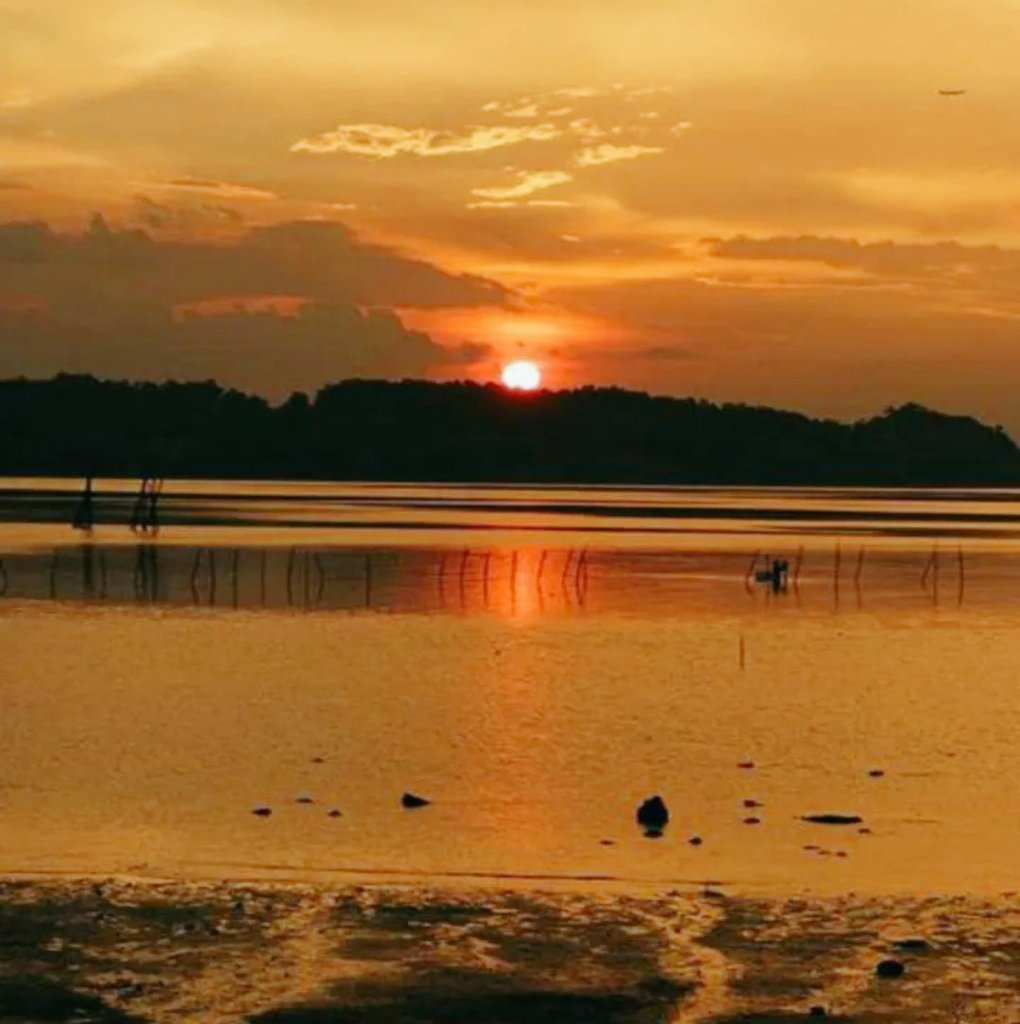 Satyendra Tiwari tweet media