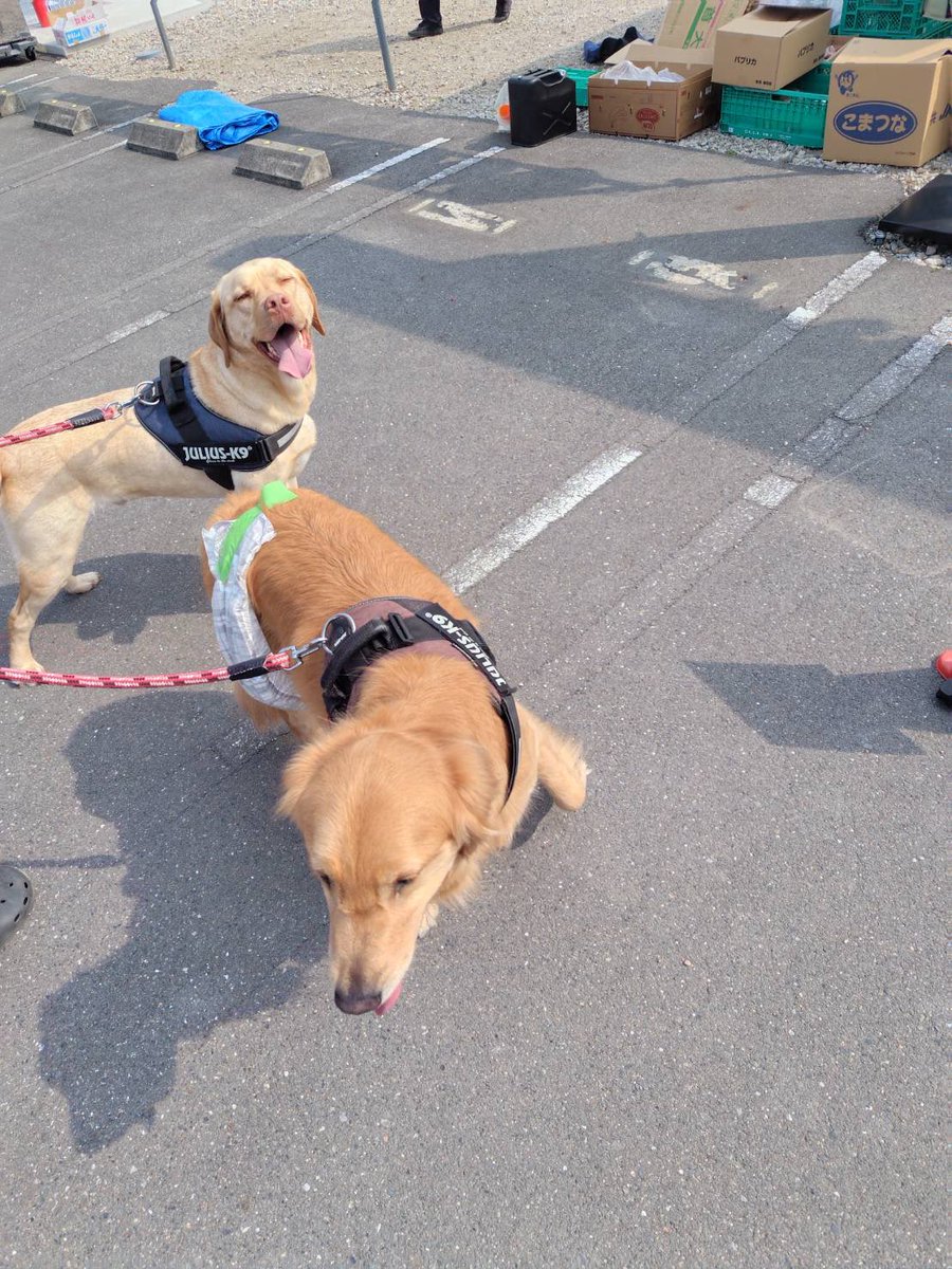 ムタプン tweet media