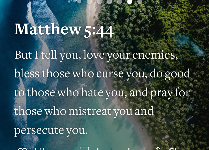 Pinky Pink tweet media