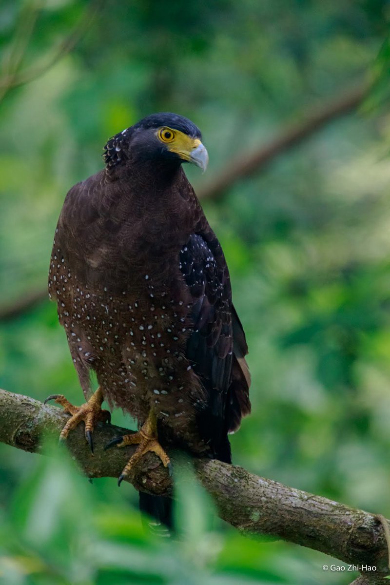 銷售員🦅 tweet media