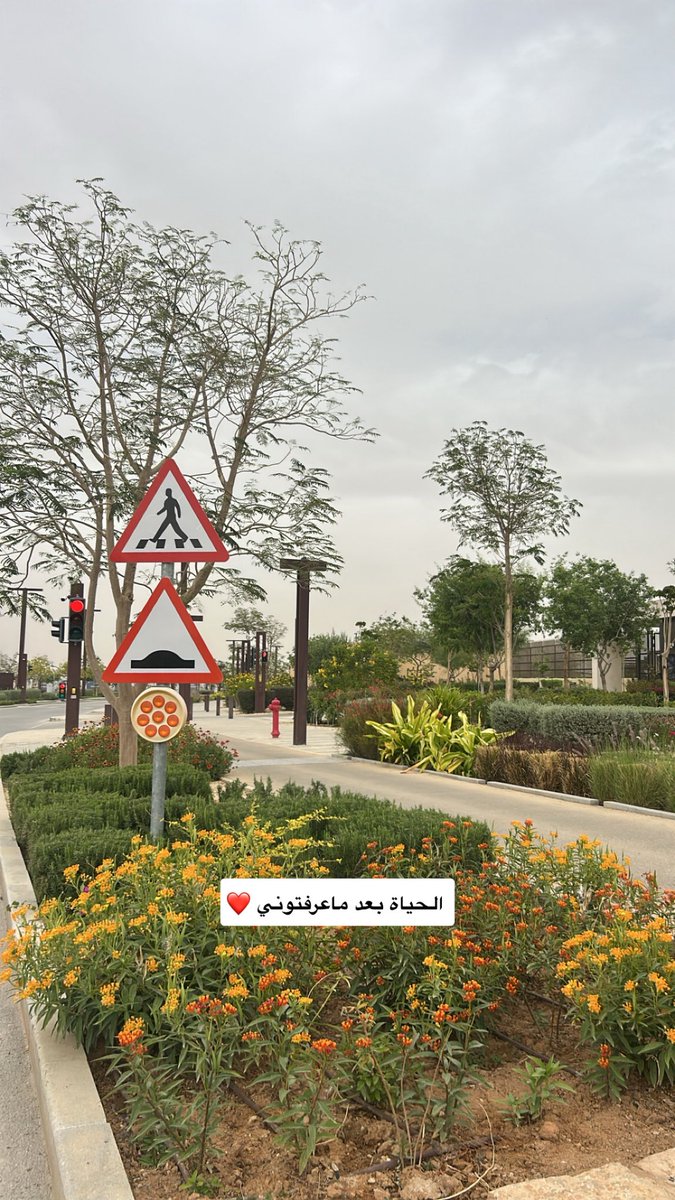 ضيف الله الشيباني 🇸🇦🕊️ tweet media