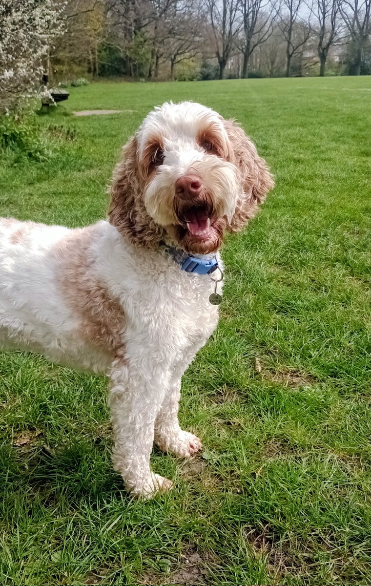 Mark Barden 🇪🇺 tweet media