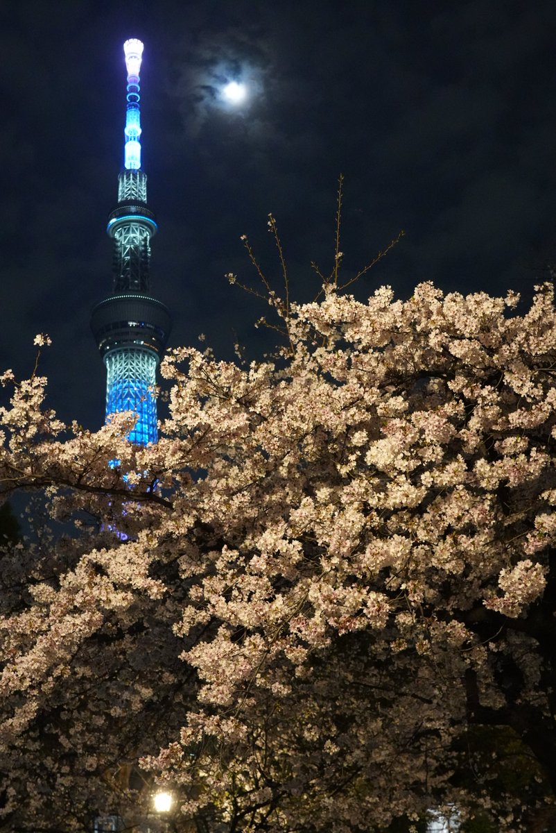 すえきち tweet media