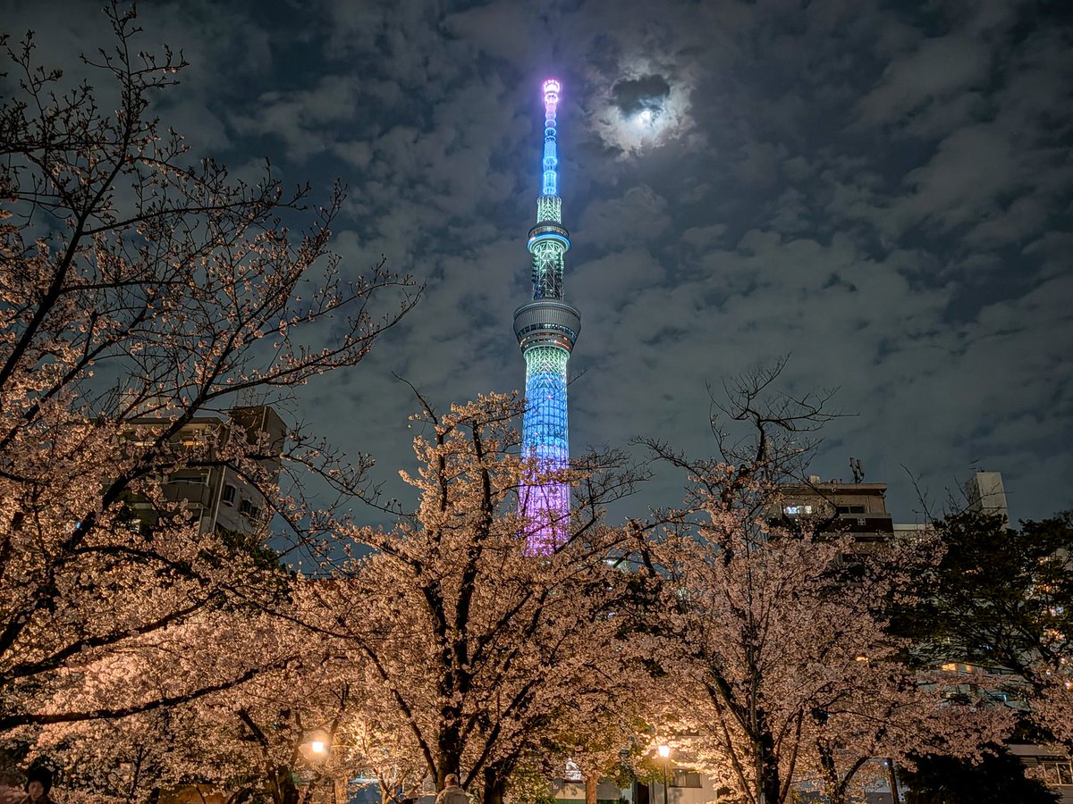 すえきち tweet media