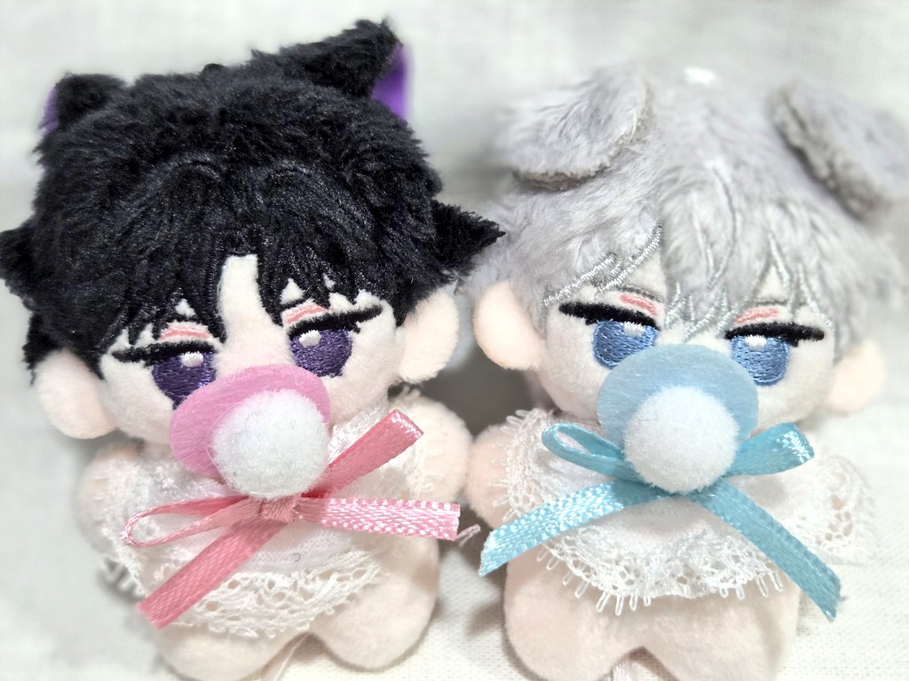 😾🐾 tweet media