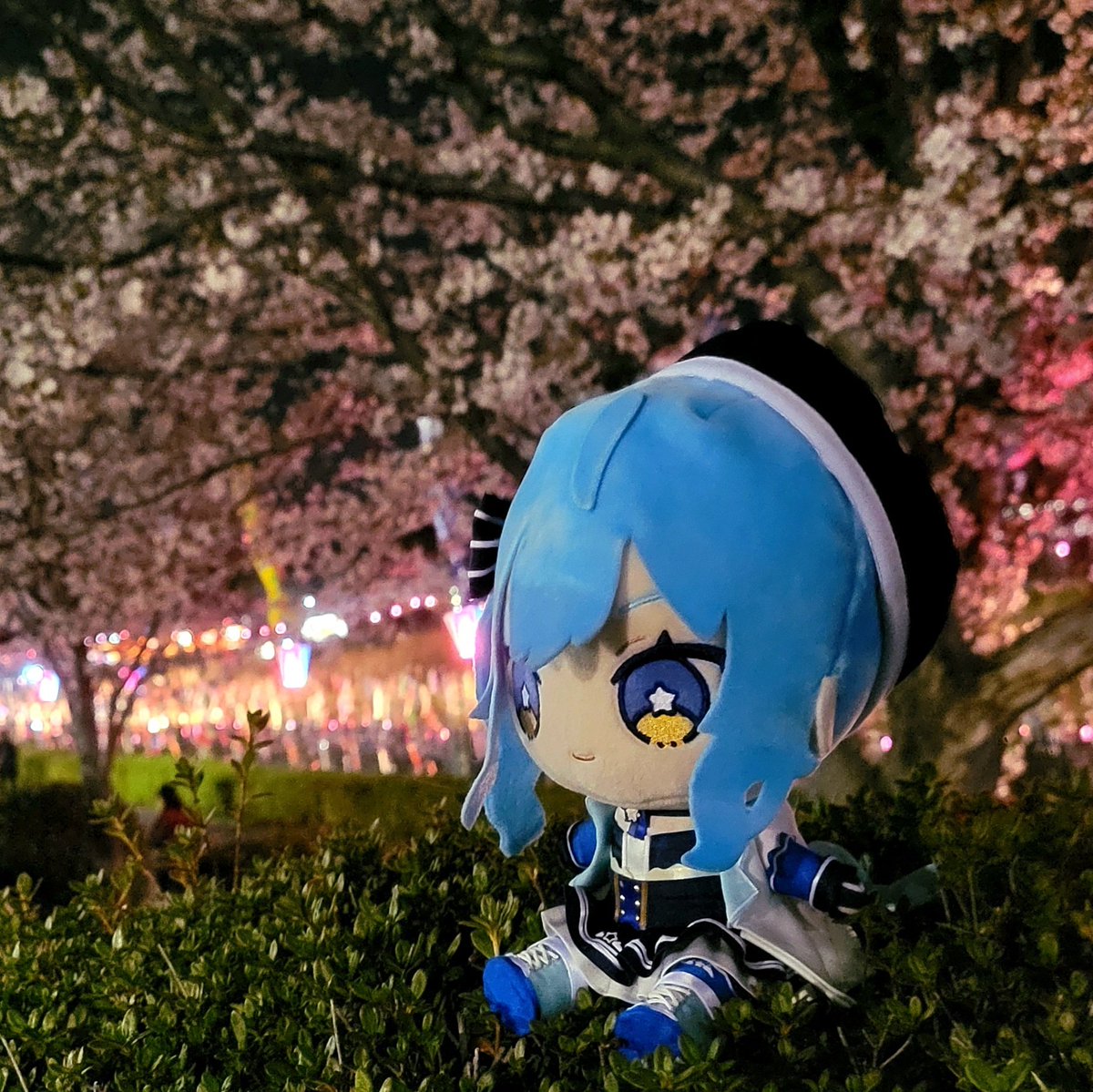 そわ ☄️ - 星詠み - tweet media