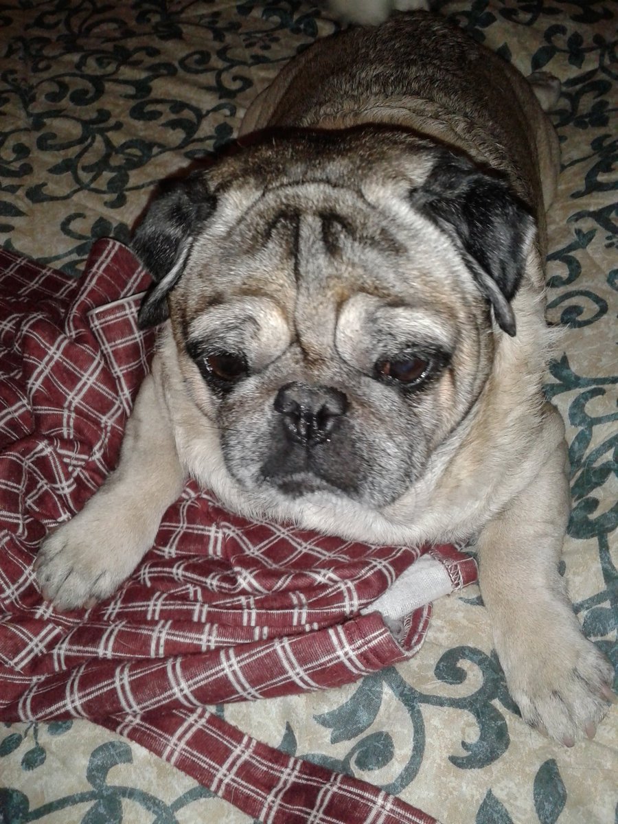 Olgadelbrian tweet media