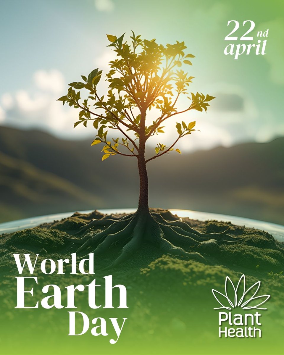 MScPlantHealth's tweet photo. Our Power, Our Planet 🌍
Every choice we make is a vote for the future we want. Let’s choose better. 🌱💚

#WorldEarthDay #europeanmaster #education #planthealth #masters #erasmusmundus #planthealthmaster #masterprogram #internationalstudents https://t.co/GKpVugwdvT