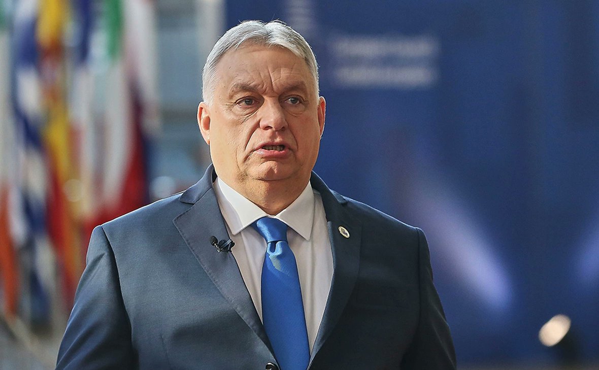 MAGA LADY 🇺🇸 tweet media