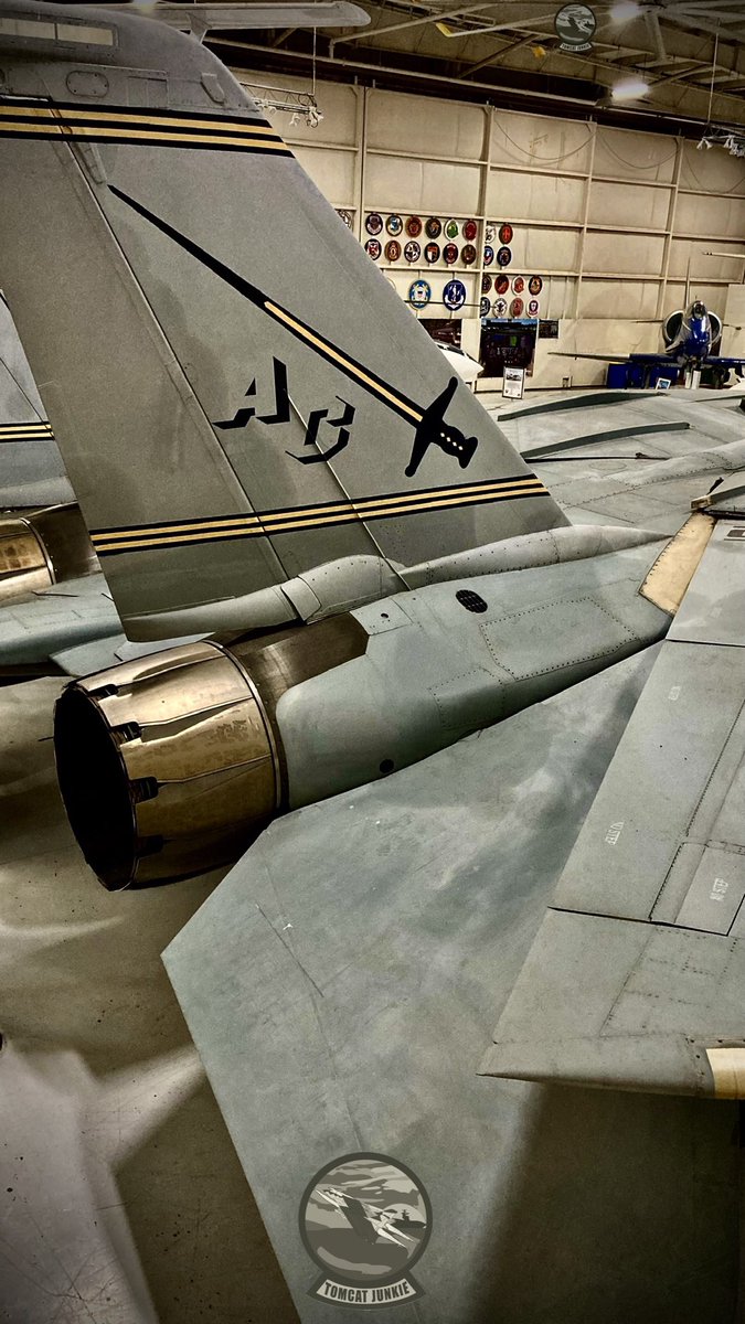 TomcatJunkie🏴‍☠️ tweet media