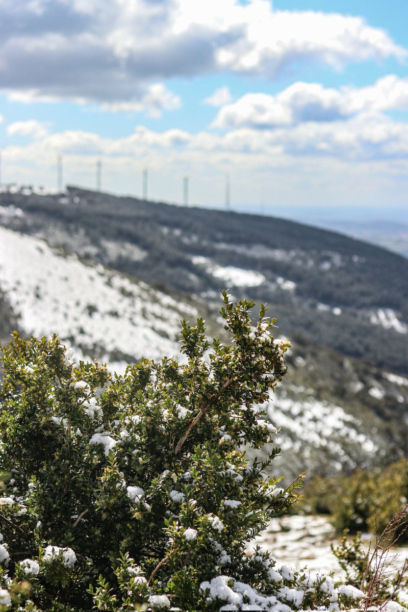 Ana.fase00 tweet media