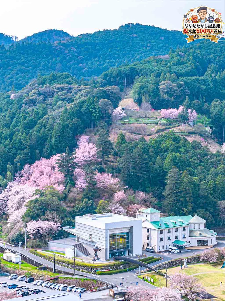 高知の空が好きです。 tweet media