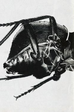 ‍ ‍ ‍ ‍ ‍ ‍ ‍ ‍ ısαk. tweet media