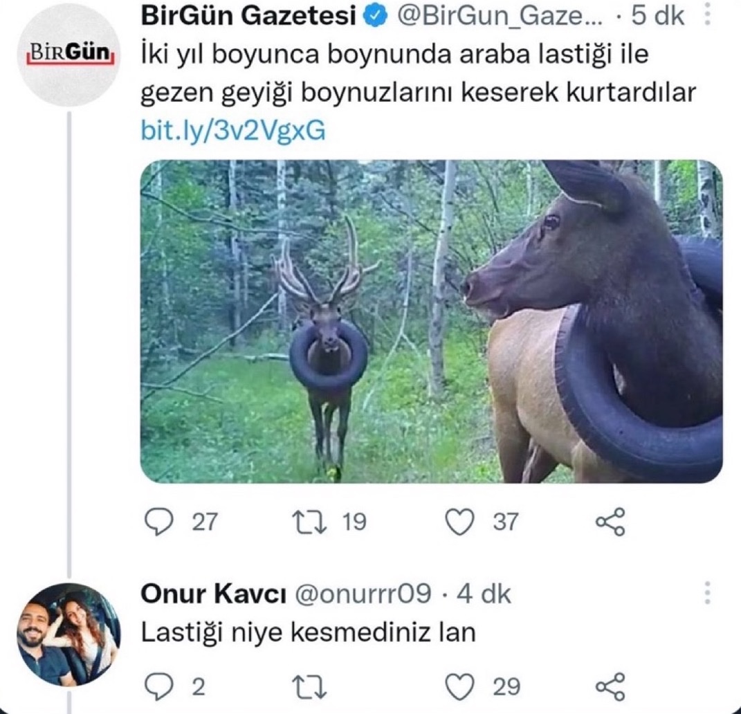 Alnı Öpülesi Tivitler tweet media