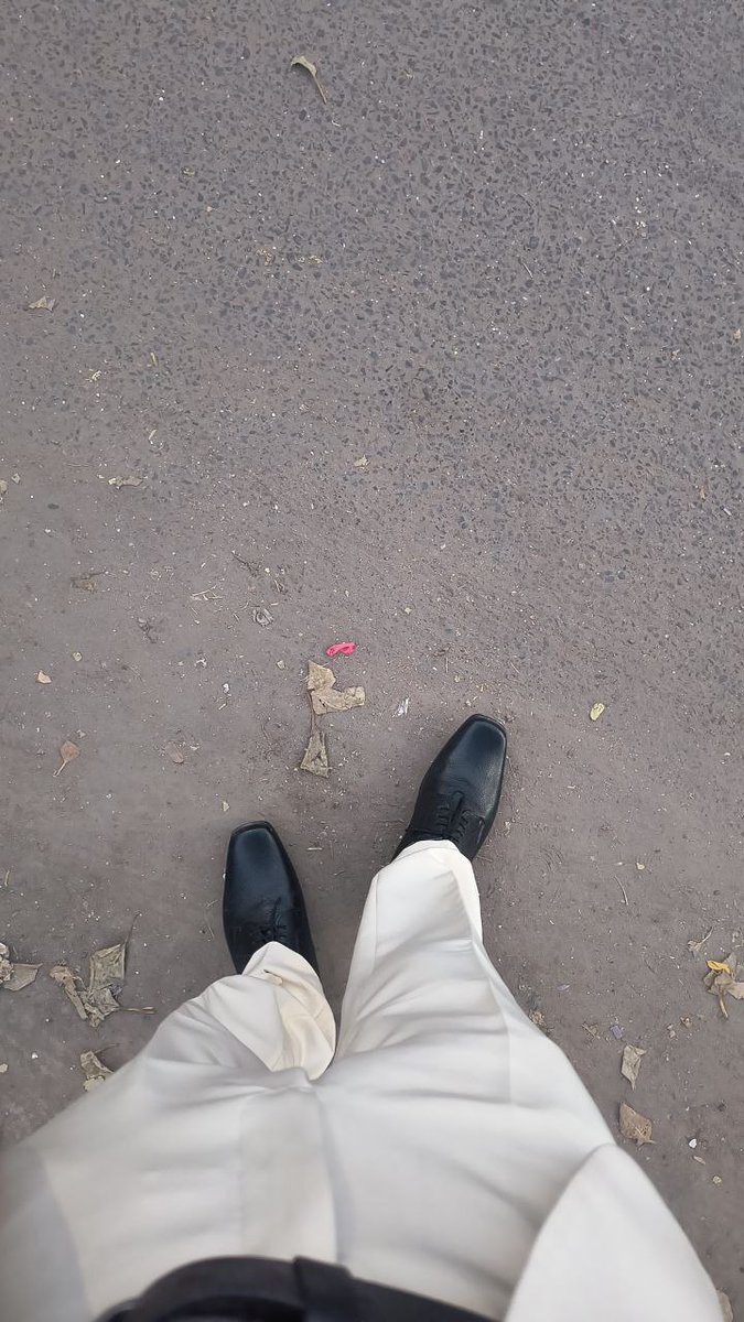 Alpha Mohsin tweet media