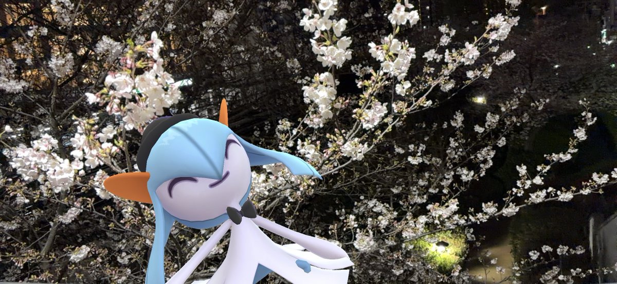 Stoneman573's tweet image. 川口駅での夜桜鑑賞会
#Pokémon
#GOsnapshot
#GOsnapshotCelebration
