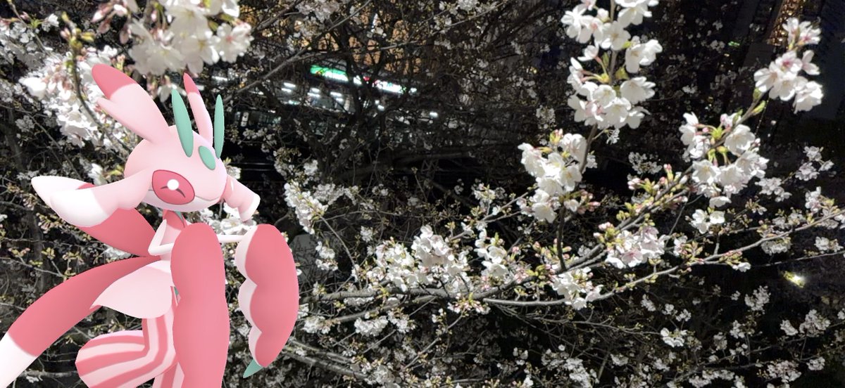 Stoneman573's tweet image. 川口駅での夜桜鑑賞会
#Pokémon
#GOsnapshot
#GOsnapshotCelebration