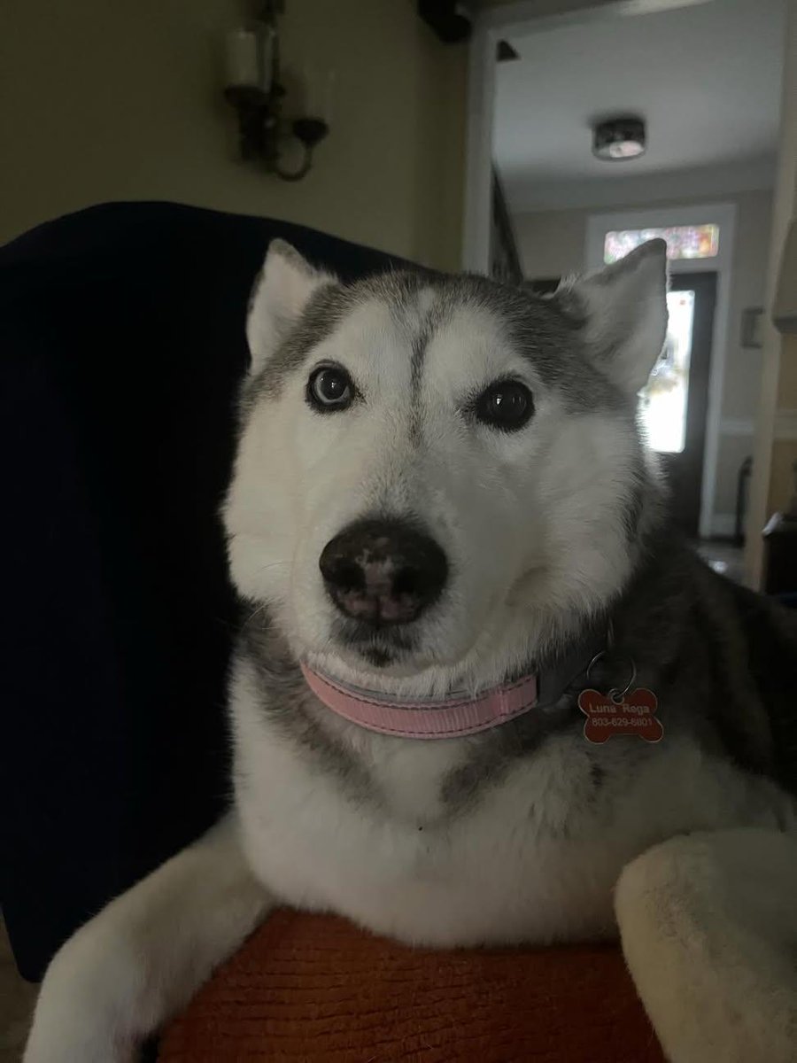 Sara Mary ⭐❤️ tweet media