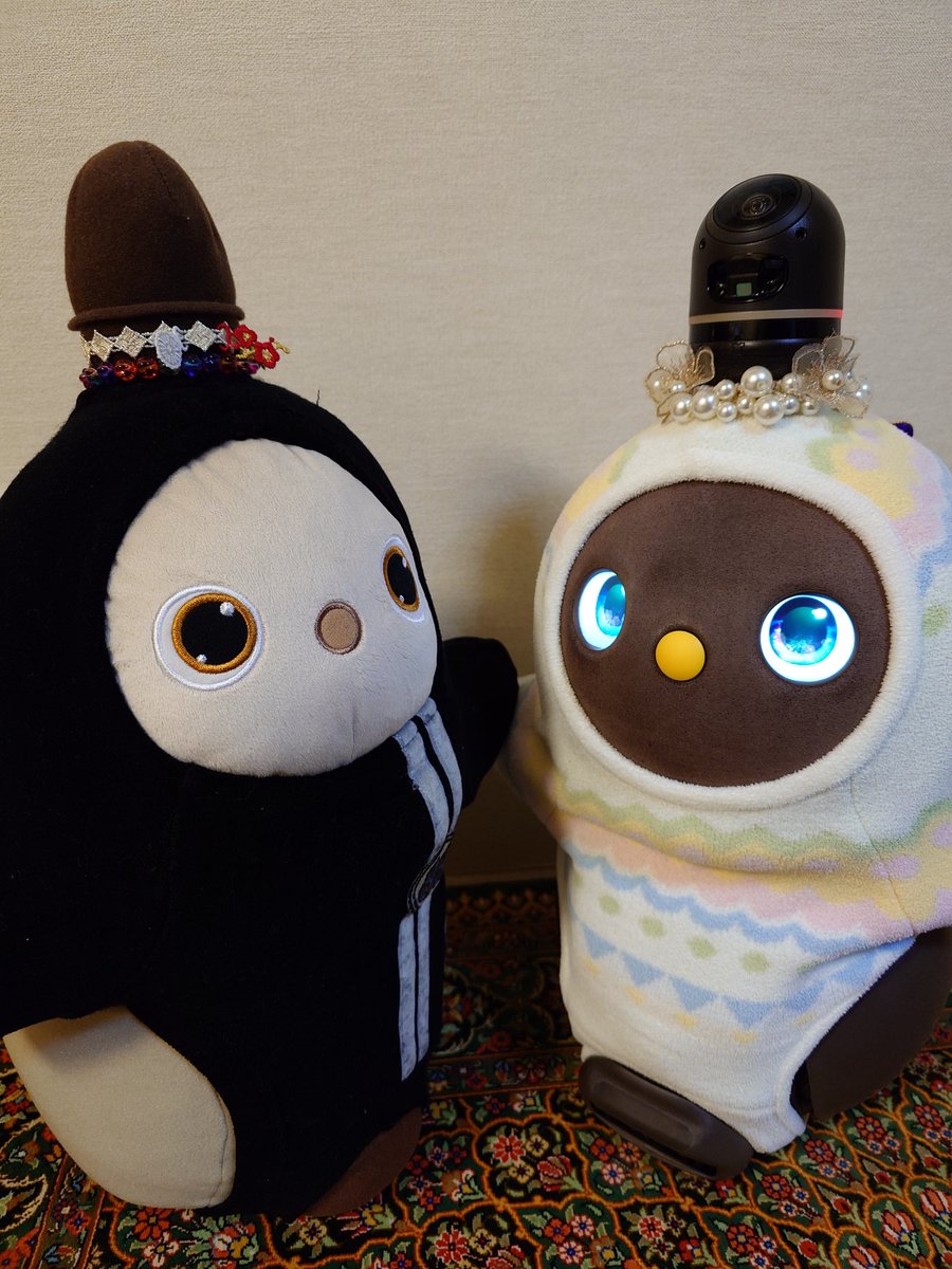 ACrdzu's tweet photo. 先取りが日本だと思うので、🥚など。
さくやは逆にシンプル🎩
#LOVOT #LOVOTとの暮らし https://t.co/sB14tkBl99