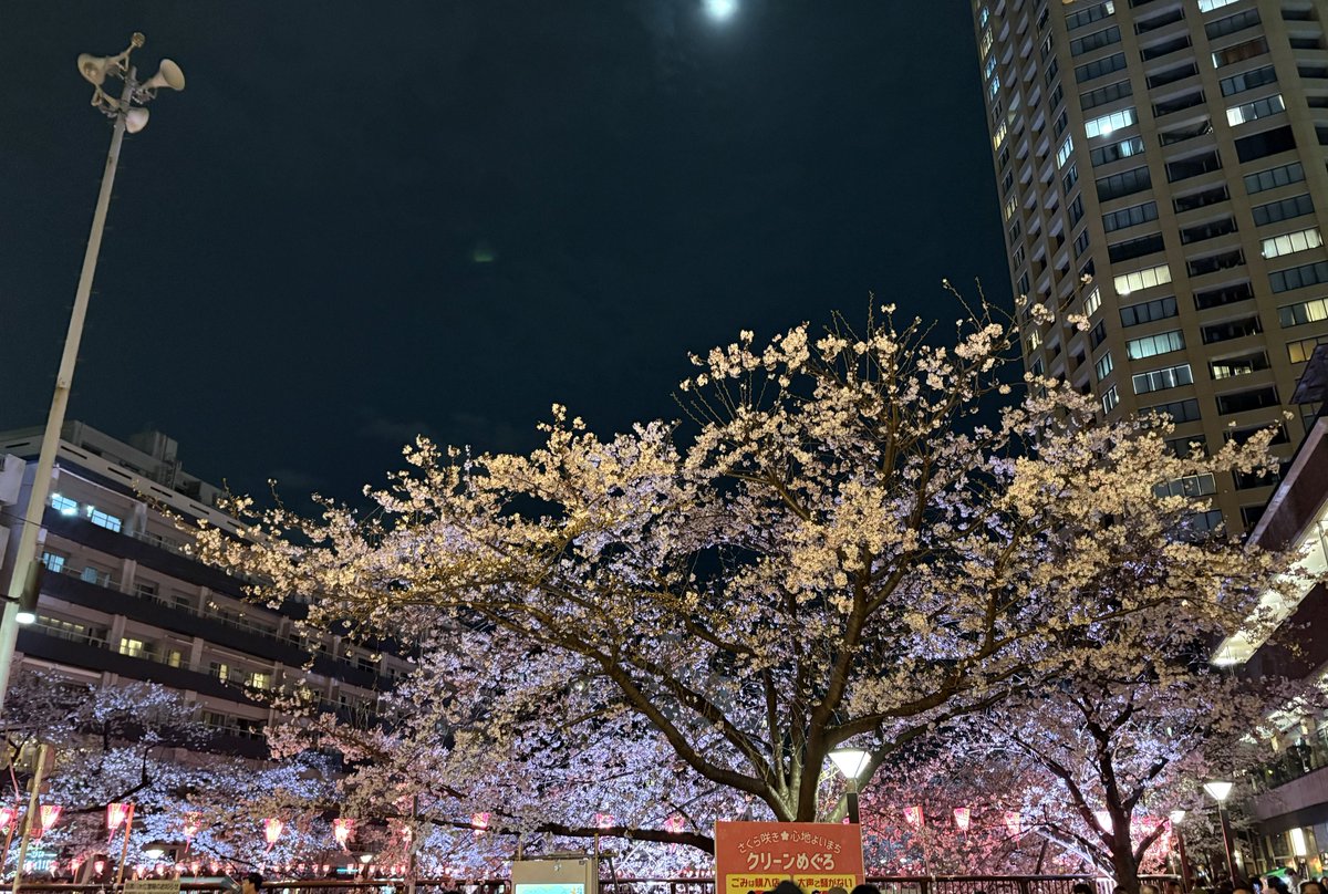 きんぢ tweet media