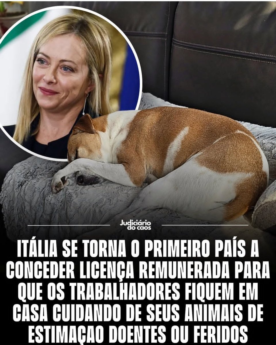 Estes tipos de esquerda só nos trazem coisas destas!