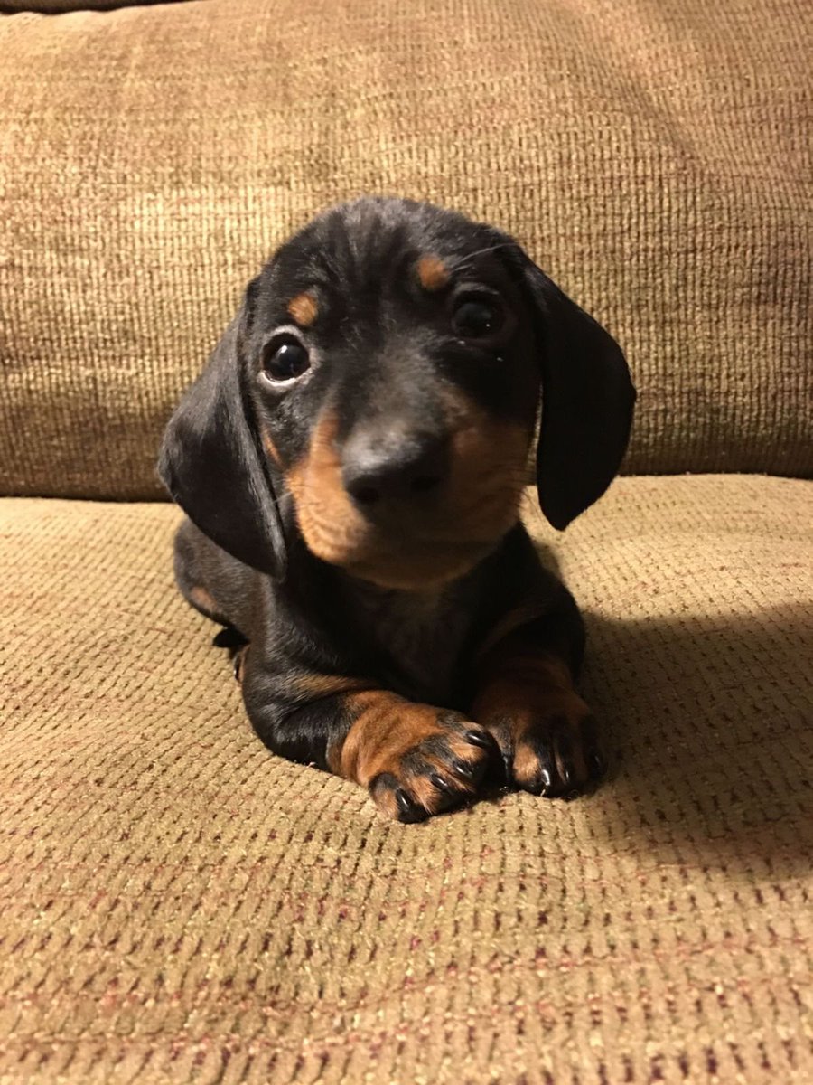 헤롱헤롱 tweet media