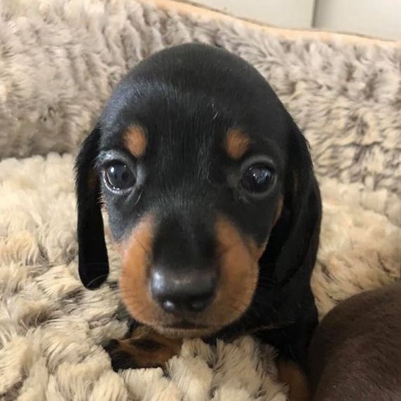 헤롱헤롱 tweet media