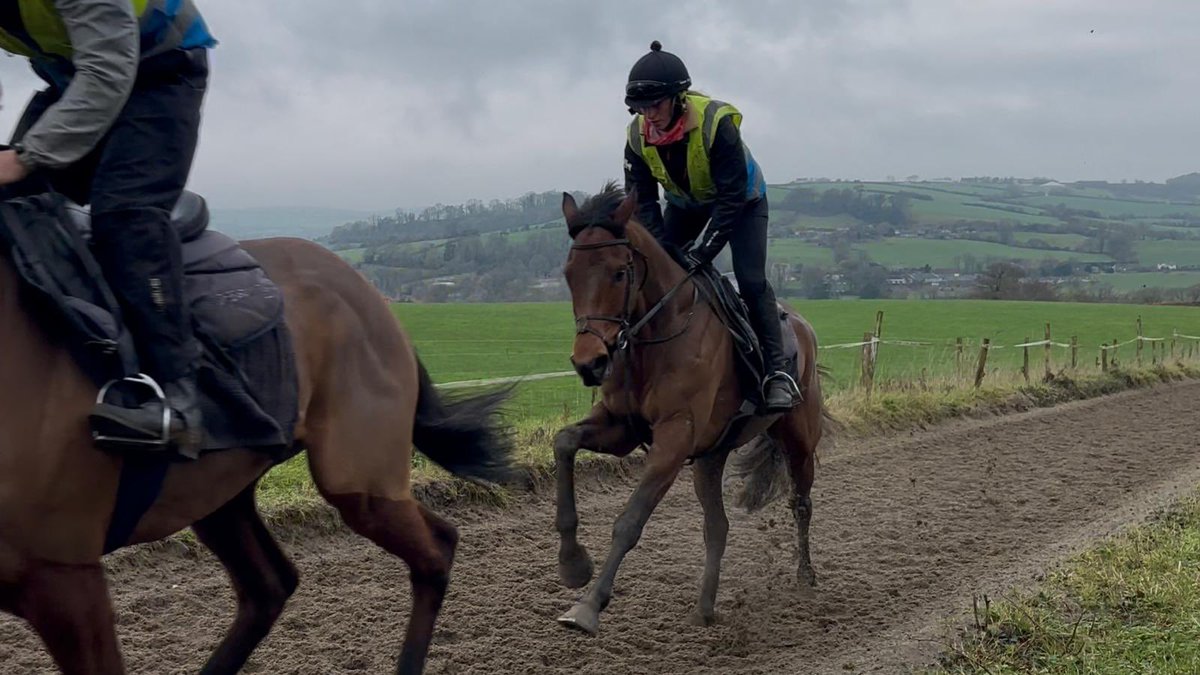 Crest Racing tweet media