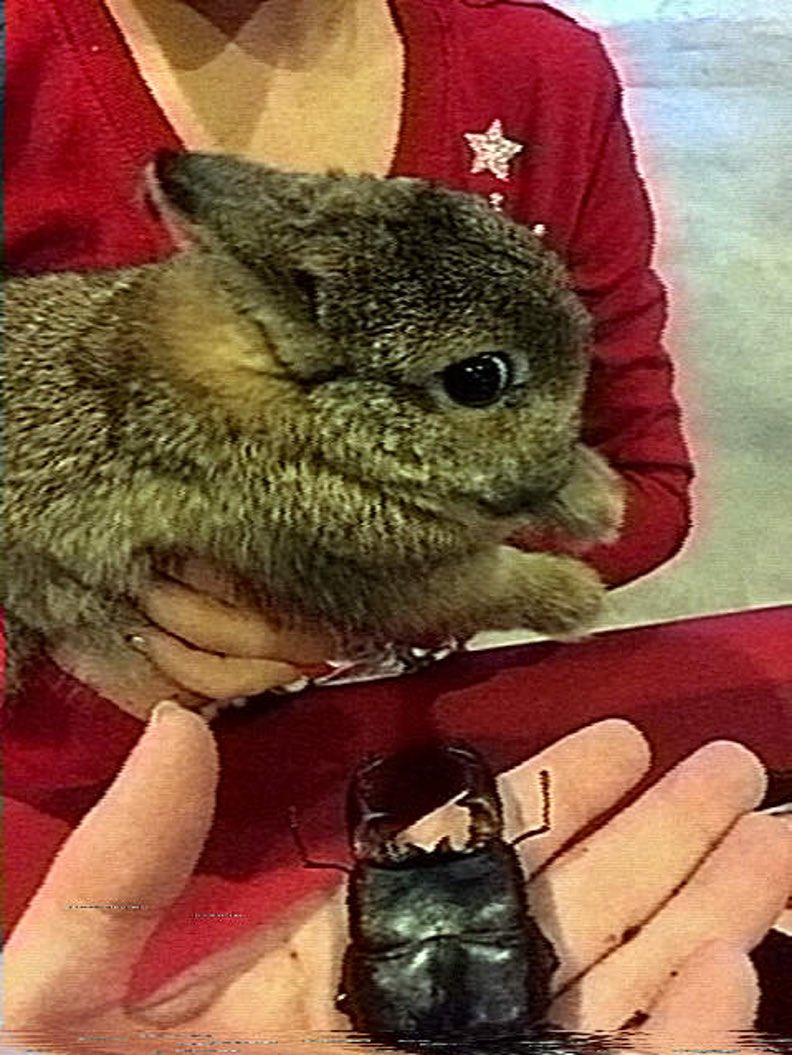 MultoKaiju tweet media