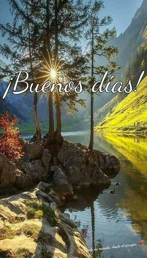 FerguGuez's tweet photo. Excelente lunes para Todos https://t.co/KboFGRYpuE