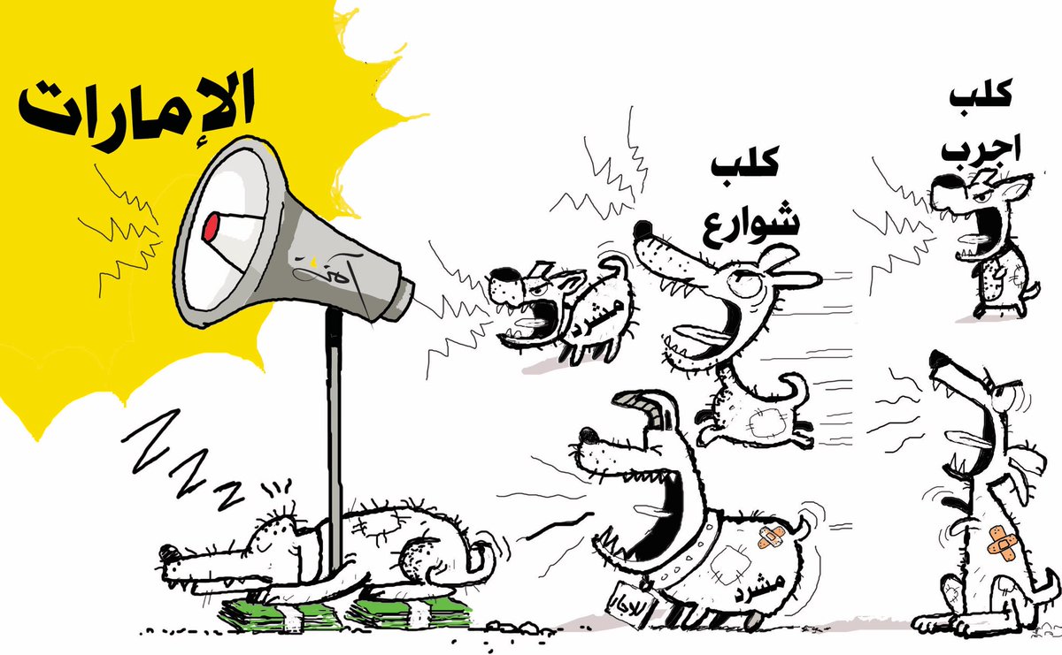امنة الحمادي tweet media