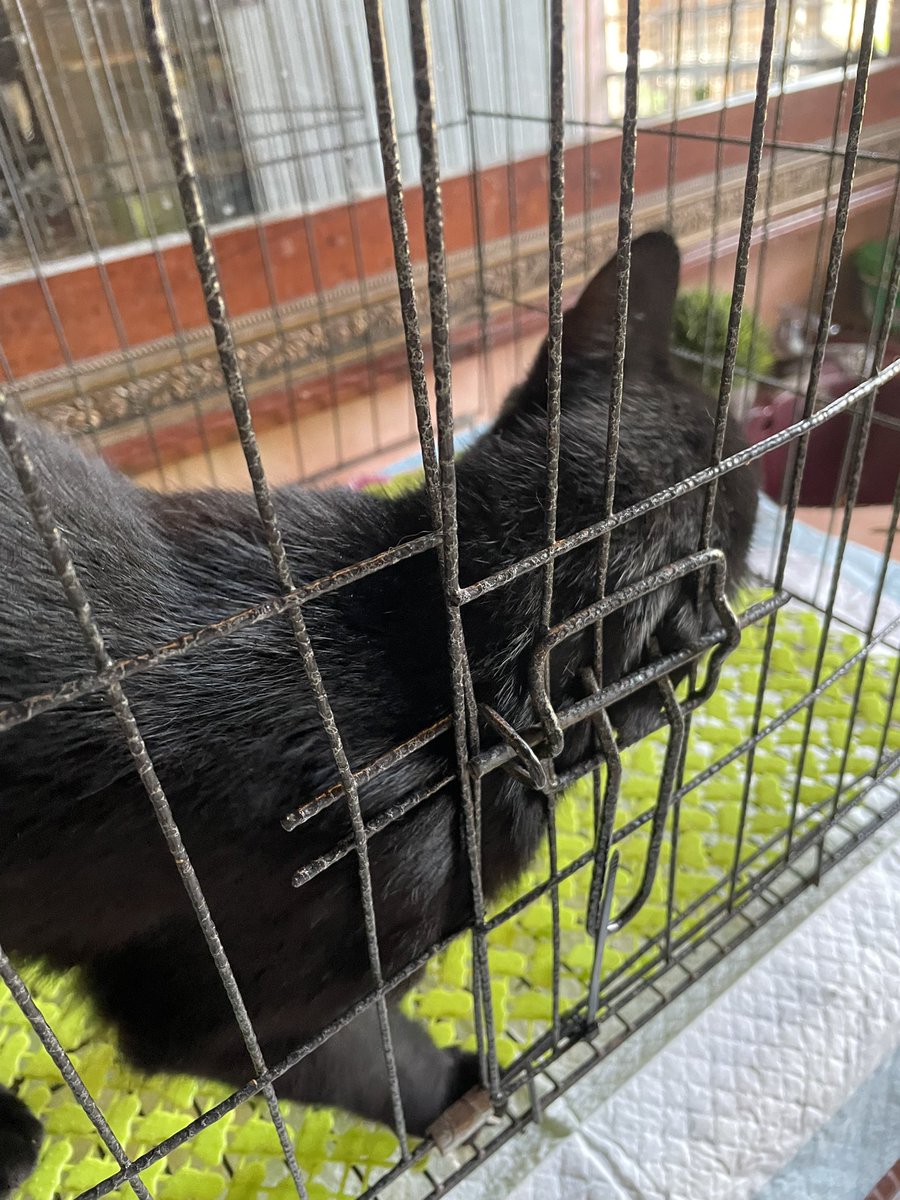 نینا✨ tweet media