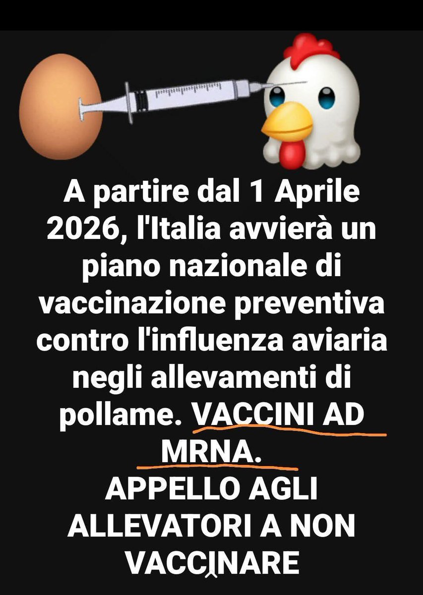 Fely 💤🇮🇹 tweet media