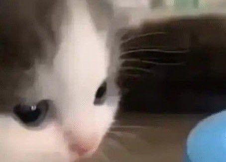 jojo! au’s 📌 tweet media