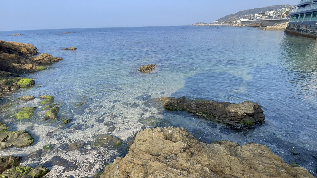 藤沢のえる🐬 tweet media