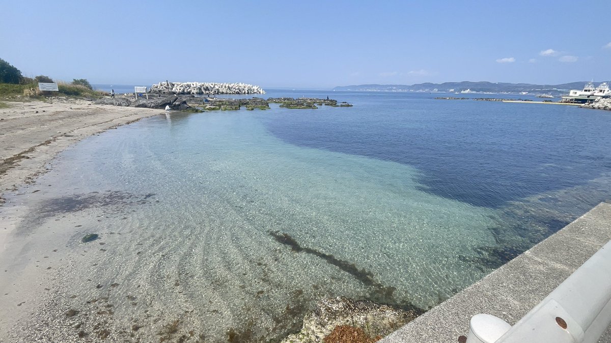 藤沢のえる🐬 tweet media