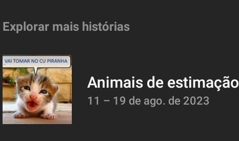 nikki⭑⚢︎ tweet media