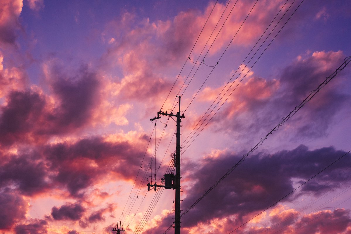 ごりかめ️️️ 𖤐⸝⋆ tweet media