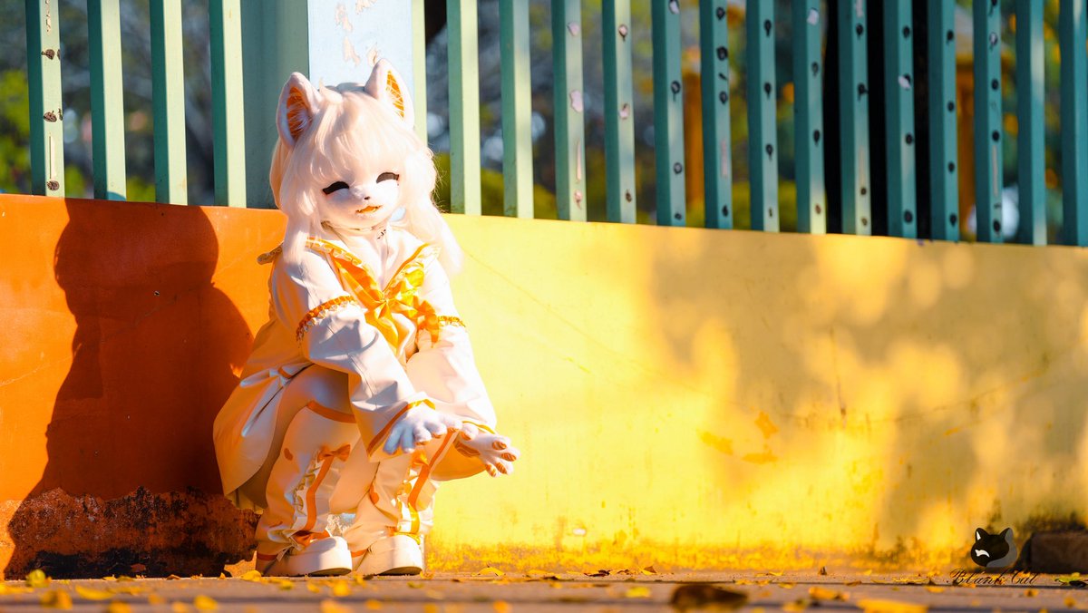 𝑭𝒊𝒔𝒉𝑪𝒂𝒕 tweet media