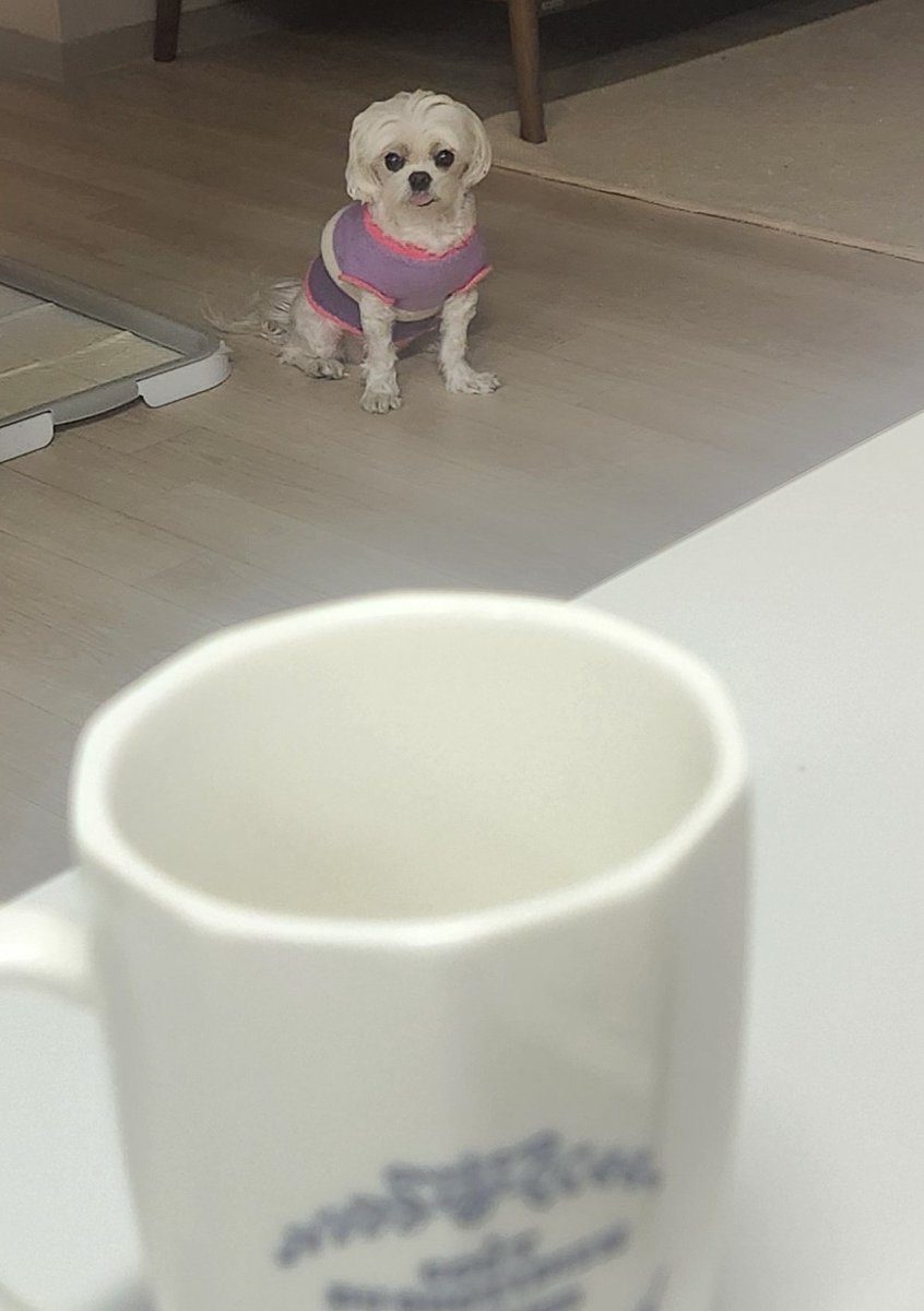 초쿠무책 tweet media