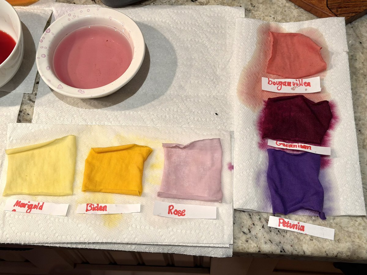 Michael Fiore - Garden Center tweet media