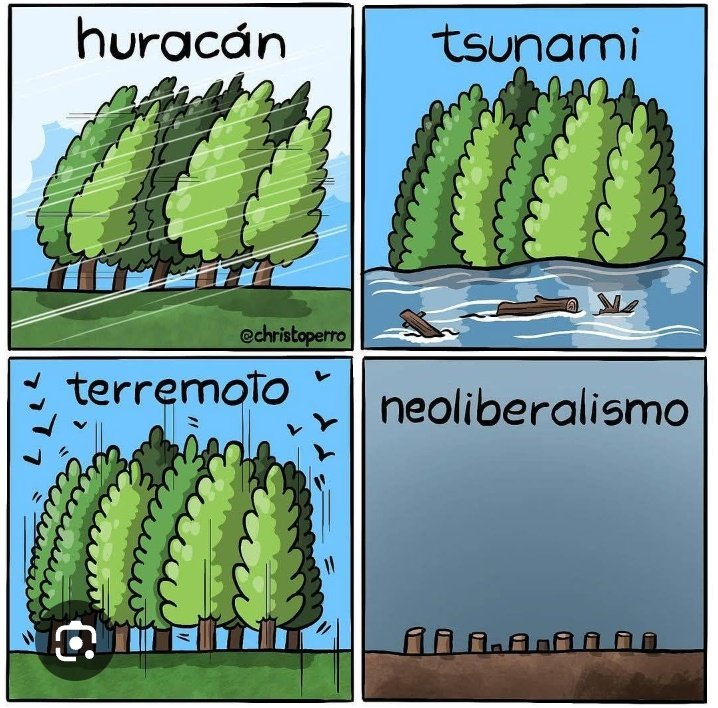 Gonzalo Bonet tweet media