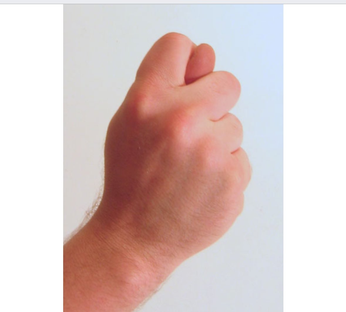 天星 一流すぎて一留した tweet media