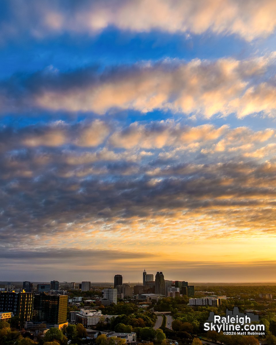 Matt Robinson tweet media