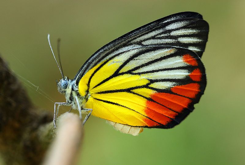 Z€|in∆ 🇵🇸 ♡ tweet media