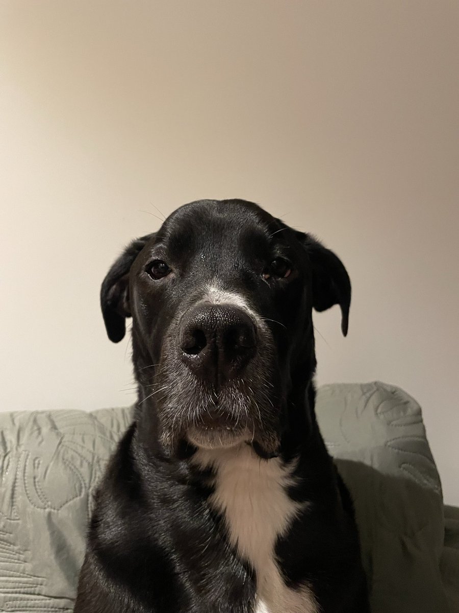 Treijn 🏴󠁧󠁢󠁥󠁮󠁧󠁿 tweet media