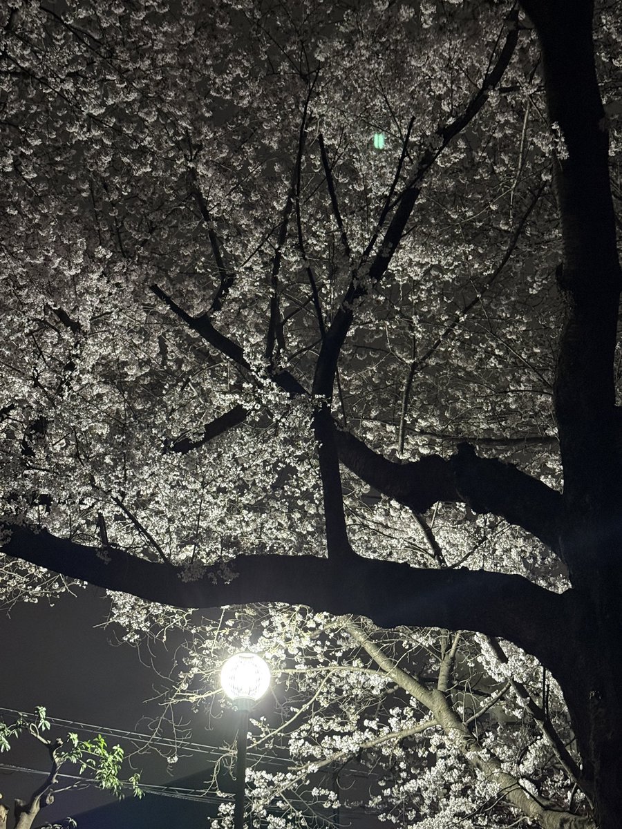 おりつ tweet media