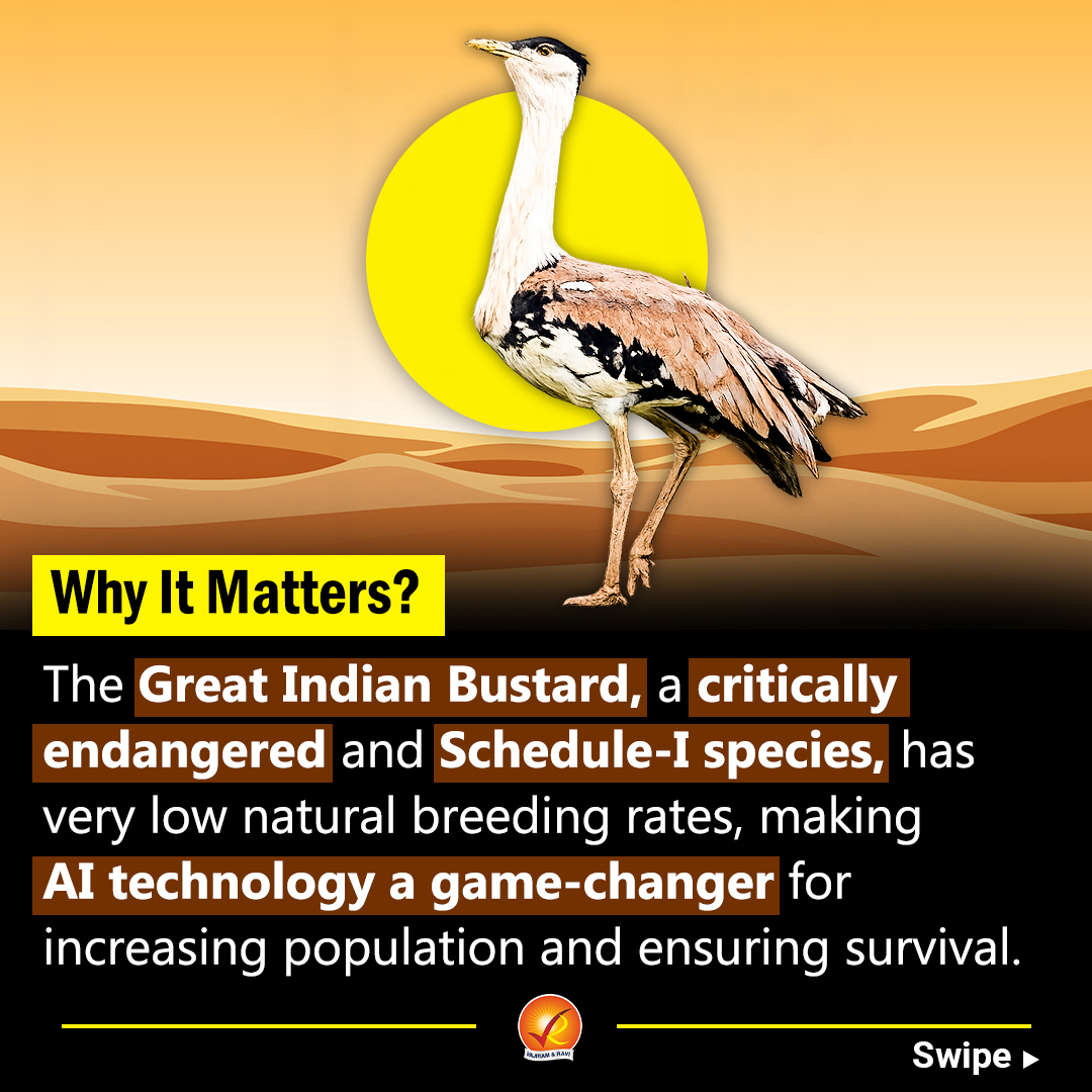 VajiramRavi's tweet image. India records a breakthrough 

A Great Indian Bustard chick born using AI technology — a big step for conserving this critically endangered species.

#GreatIndianBustard #Conservation #UPSC #Environment