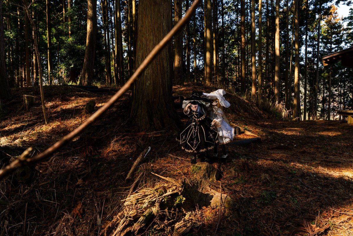 ℳ𝓇.𝒦 tweet media