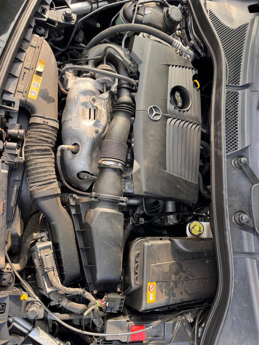 Gucho Choco Vichis tweet media